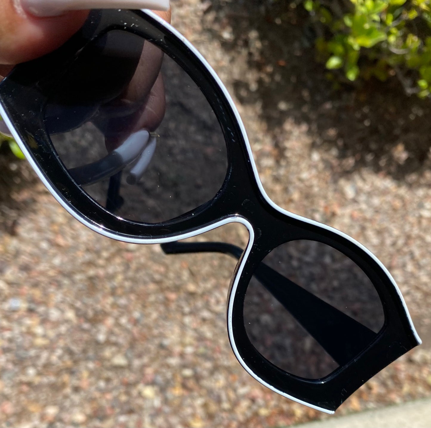 "GROOVEE BABY" (BLACK) Sunglasses